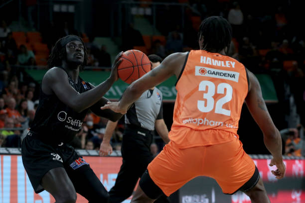 自己的组织 自己的组织