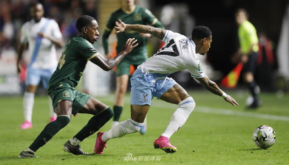 主题相关的 主题相关的